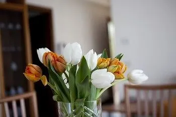 Aparthotel Health House Desenzano del Garda